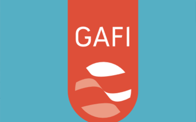 Rapport 2022 d’évaluation mutuelle de la France par le GAFI : succès et améliorations